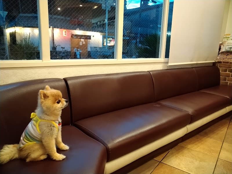 ビータ動物クリニック