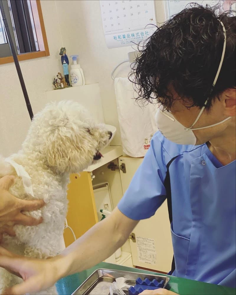 ジュニアニマルホスピタル