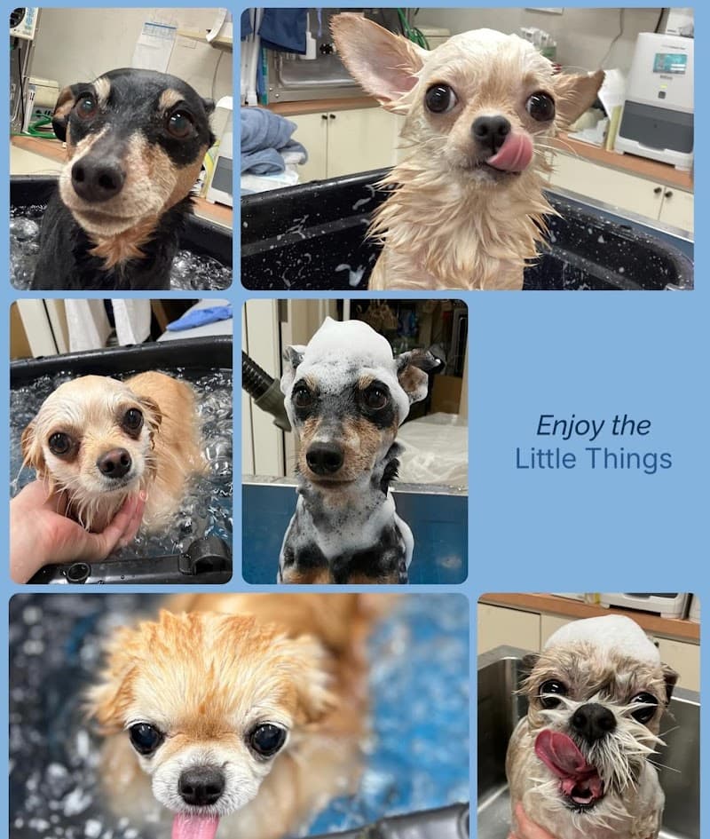 ロッキー動物病院