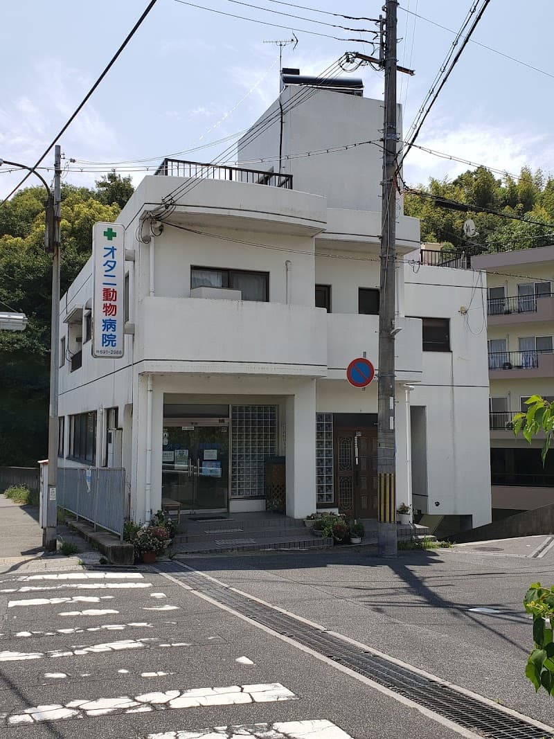 オタニ動物病院