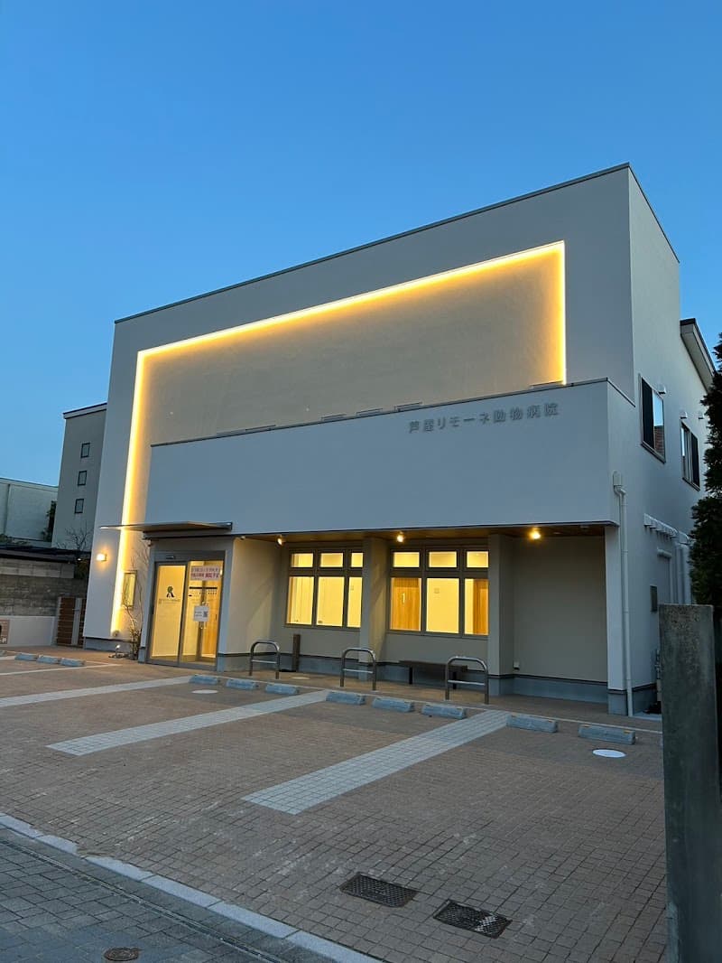 芦屋リモーネ動物病院