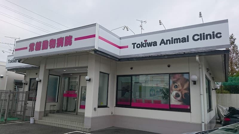 常磐動物病院