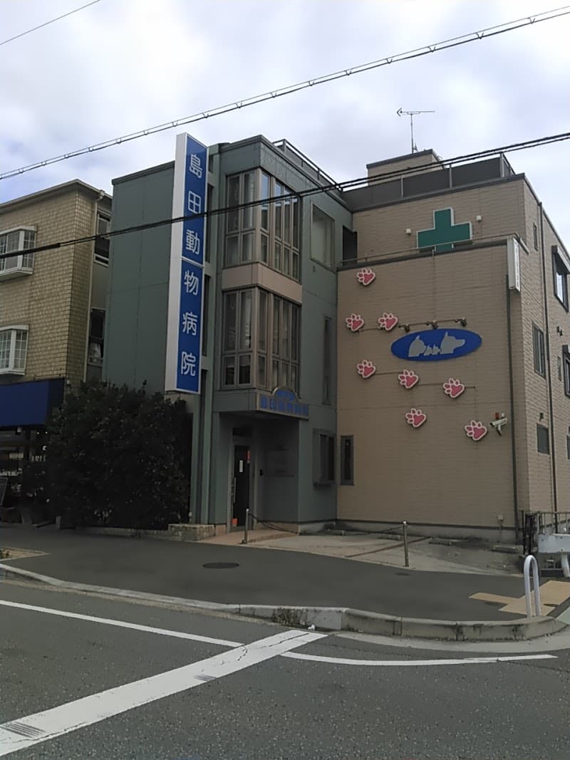 島田動物病院