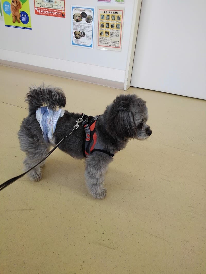 さかたに動物病院