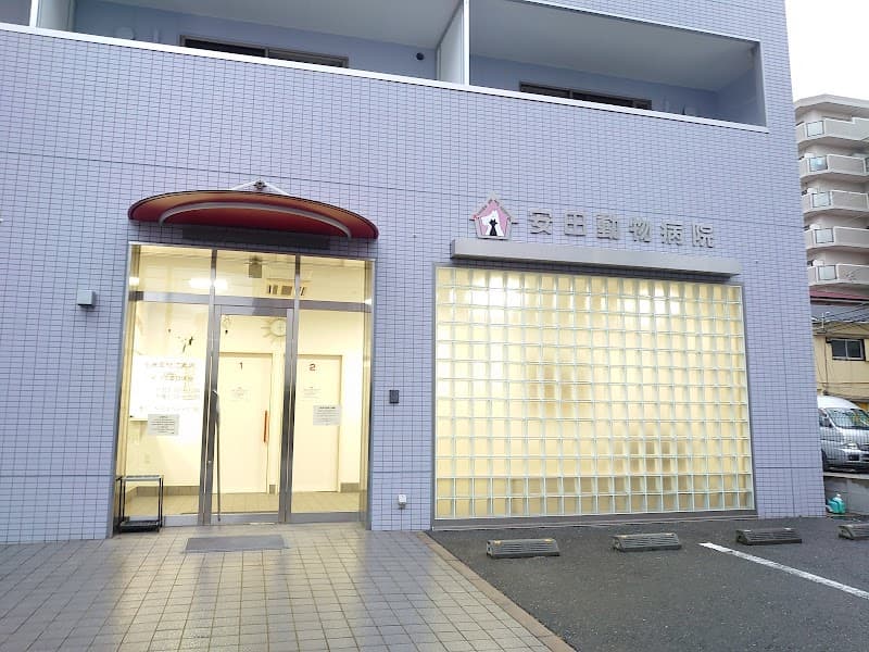 甲子園動物病院