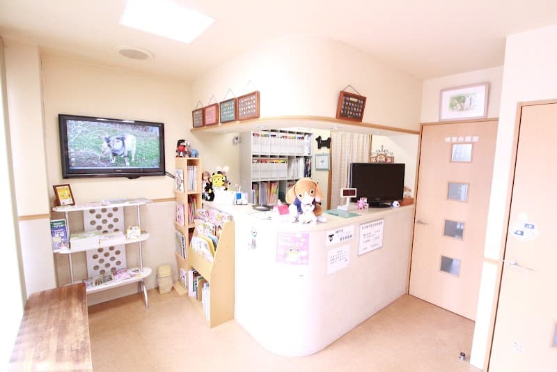 石川犬猫診療所