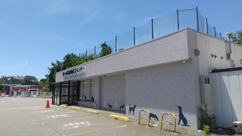 神戸夜間動物救急センター