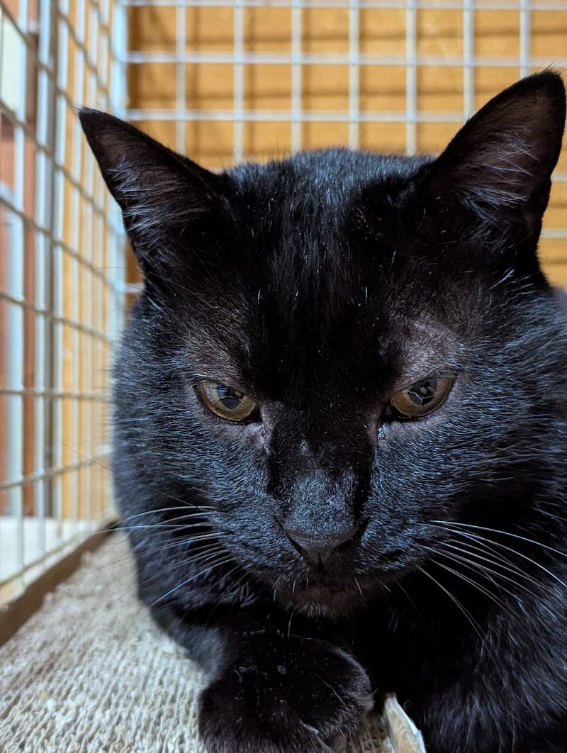 フジモリ獣医科クリニック