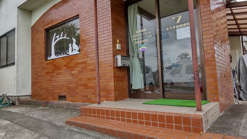 北六甲動物病院