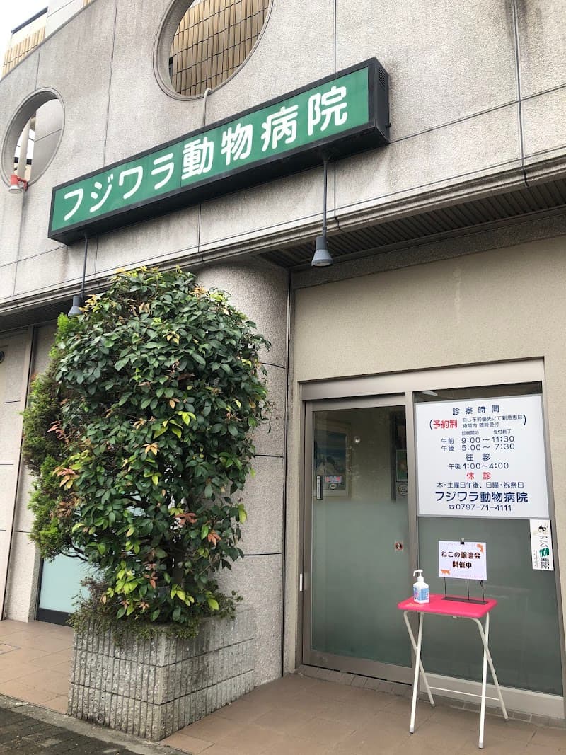 フジワラ動物病院