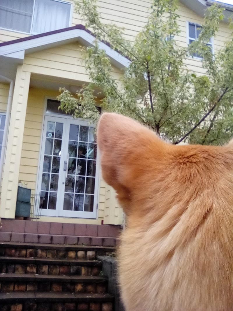 生尾どうぶつ病院