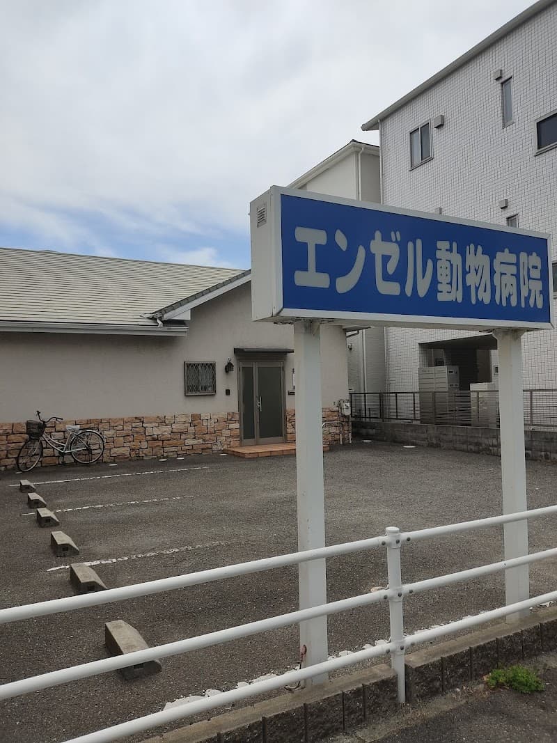 エンゼル動物病院
