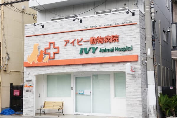 アイビー動物病院