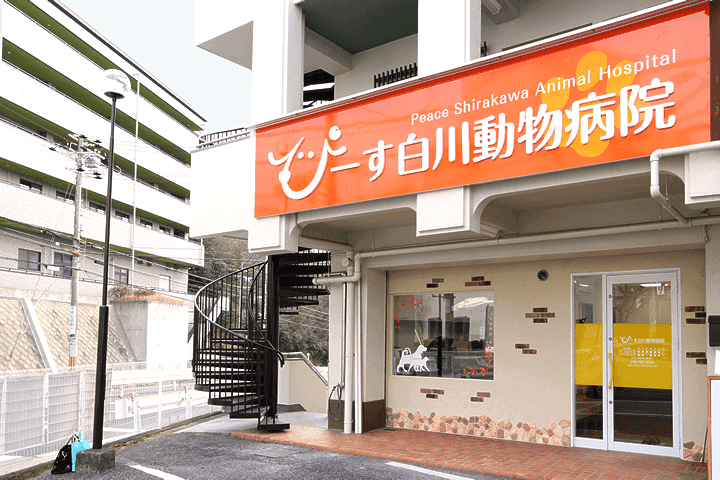 ぴーす白川動物病院