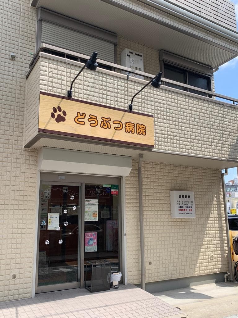 塚口獣医科医院