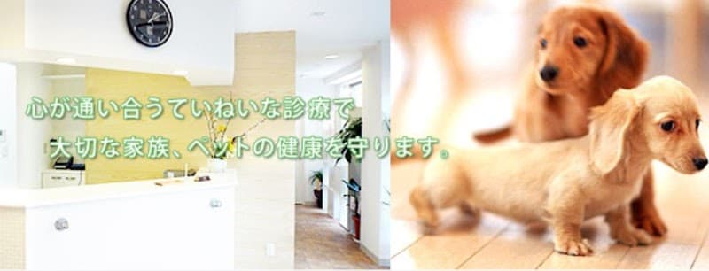 あかばめペットクリニック