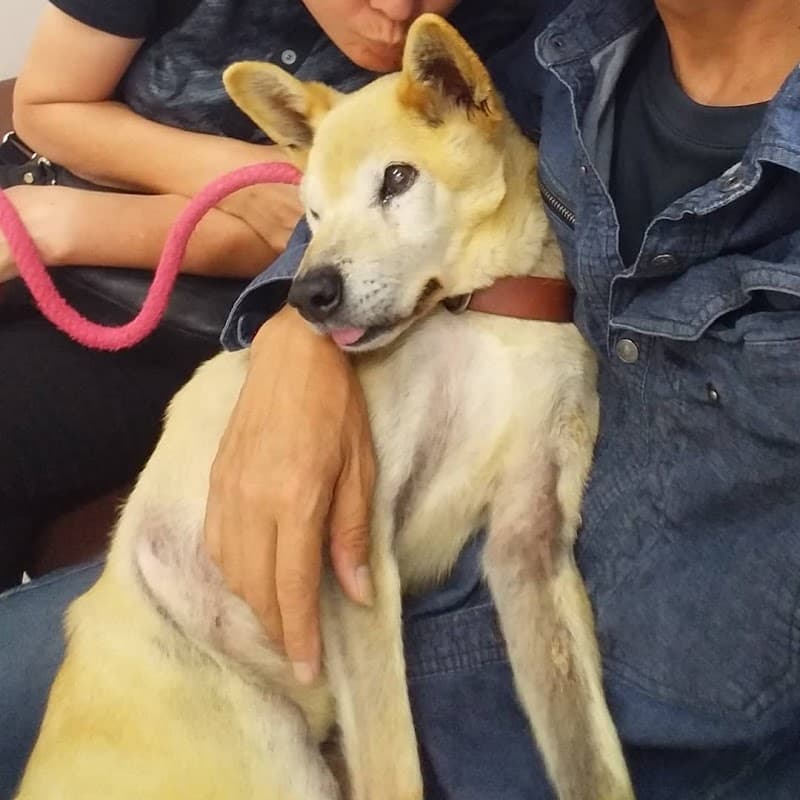 小野山動物病院