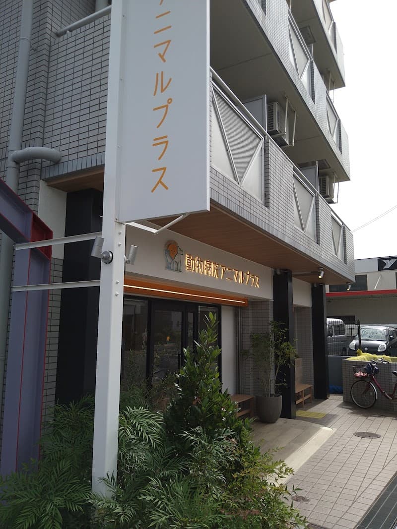 動物病院アニマルプラス