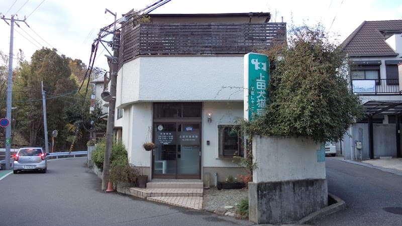 上田犬猫病院