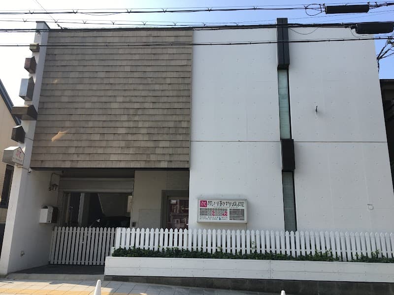 夙川動物病院