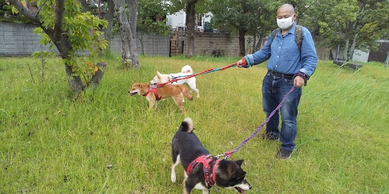 西川愛犬病院