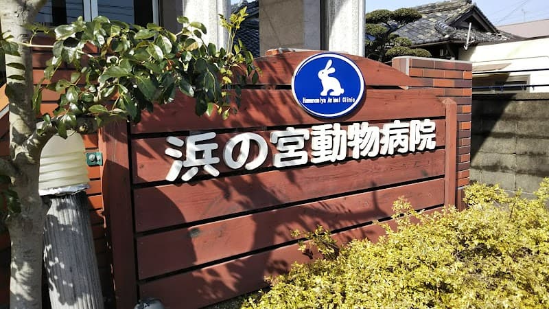 浜の宮動物病院