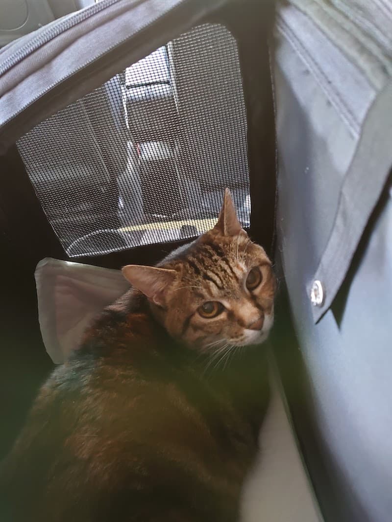 なかがわ動物病院