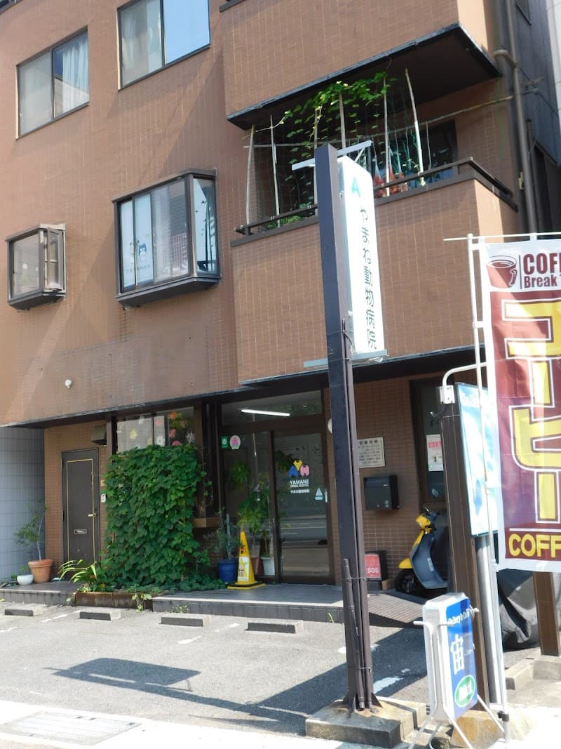 やまね動物病院