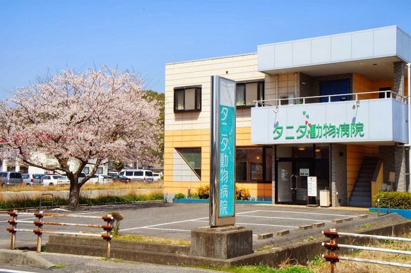 タニダ動物病院