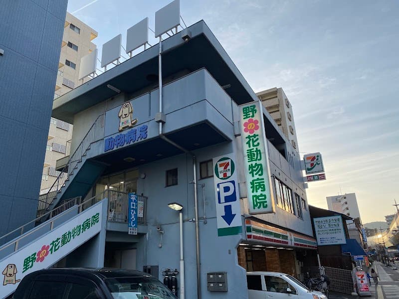 野の花動物病院