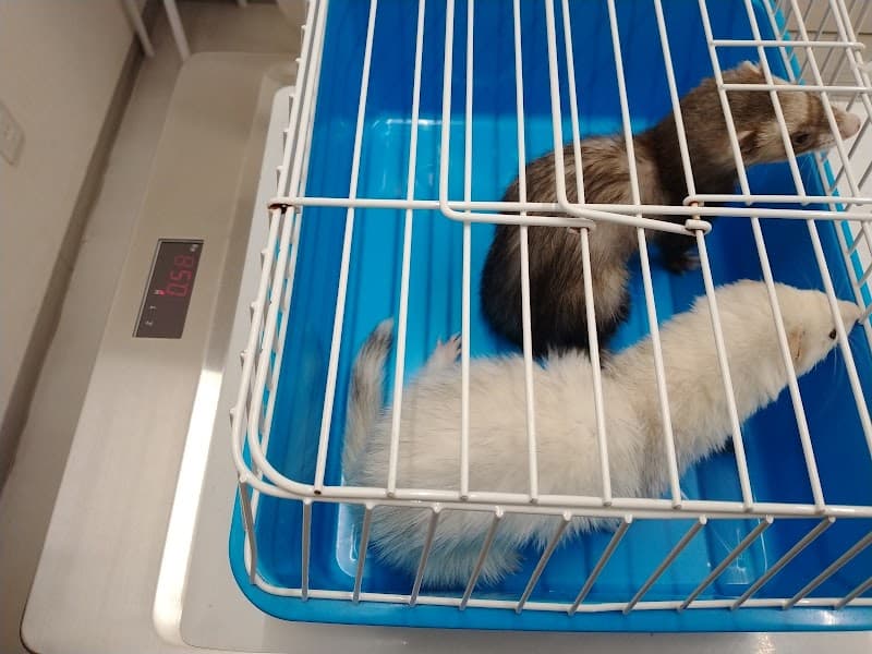 りっか動物病院