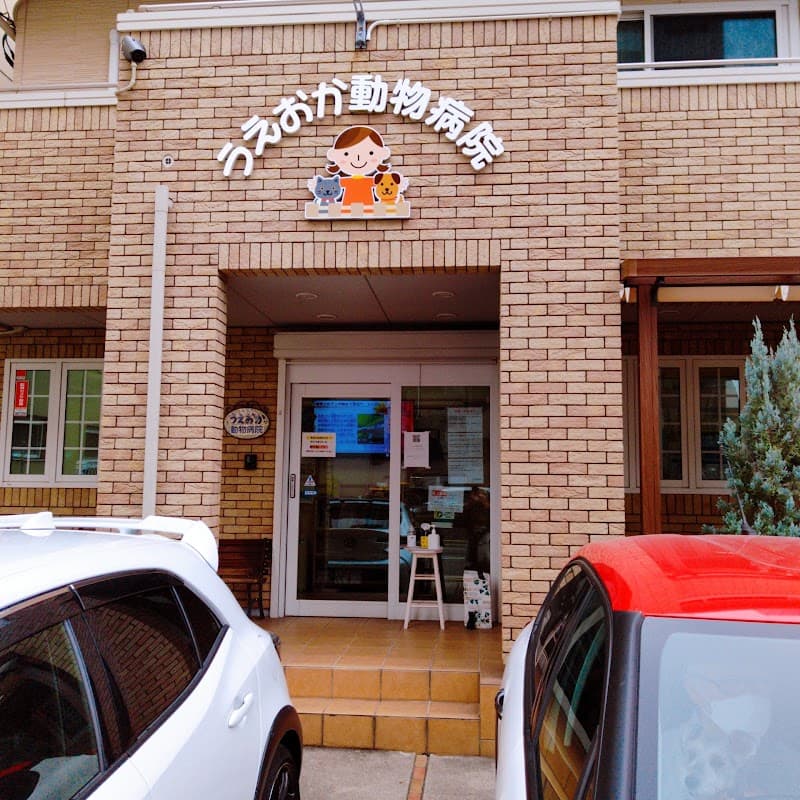 うえおか動物病院