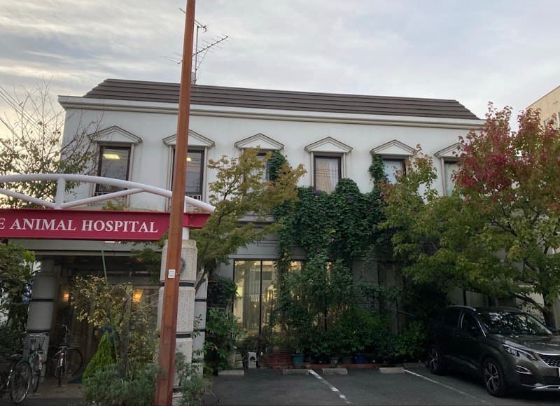 メイプル動物病院