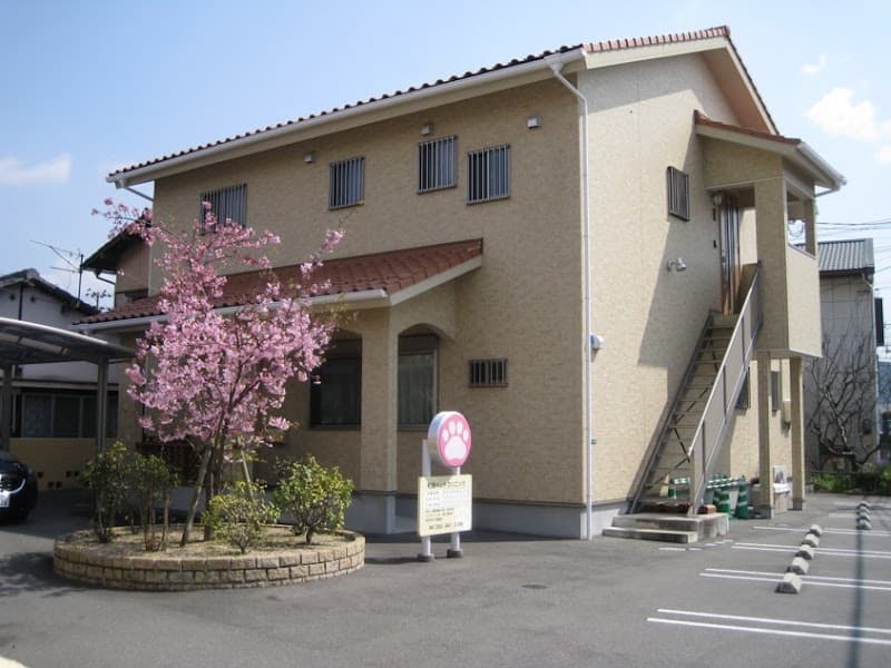 和田ペットクリニック