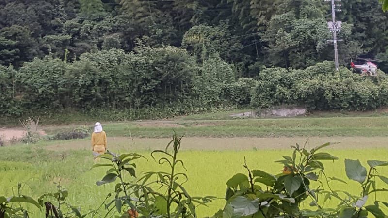 イトゥーリの森動物病院