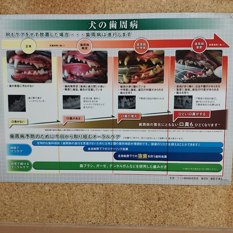 カワムラ獣医科病院