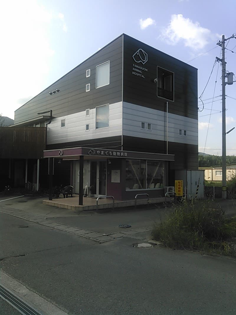 やまぐち動物病院