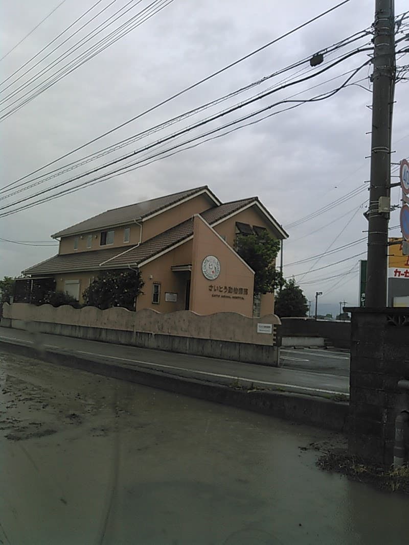 さいとう動物病院