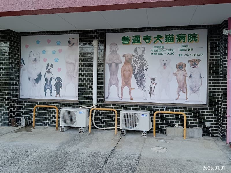 善通寺犬猫病院