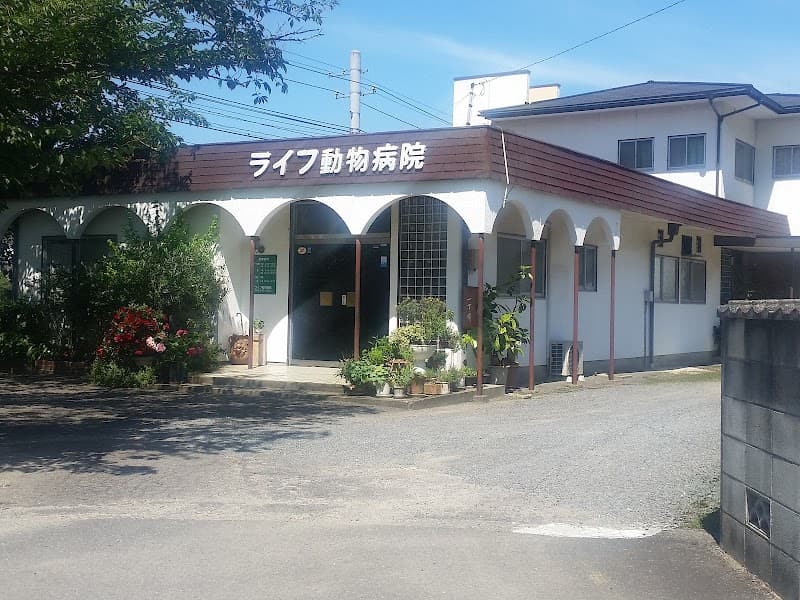 ライフ動物病院