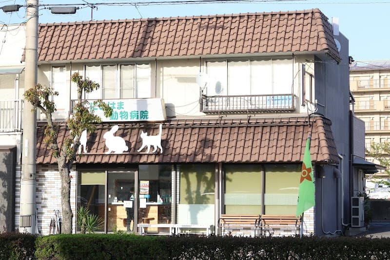 にいはま動物病院