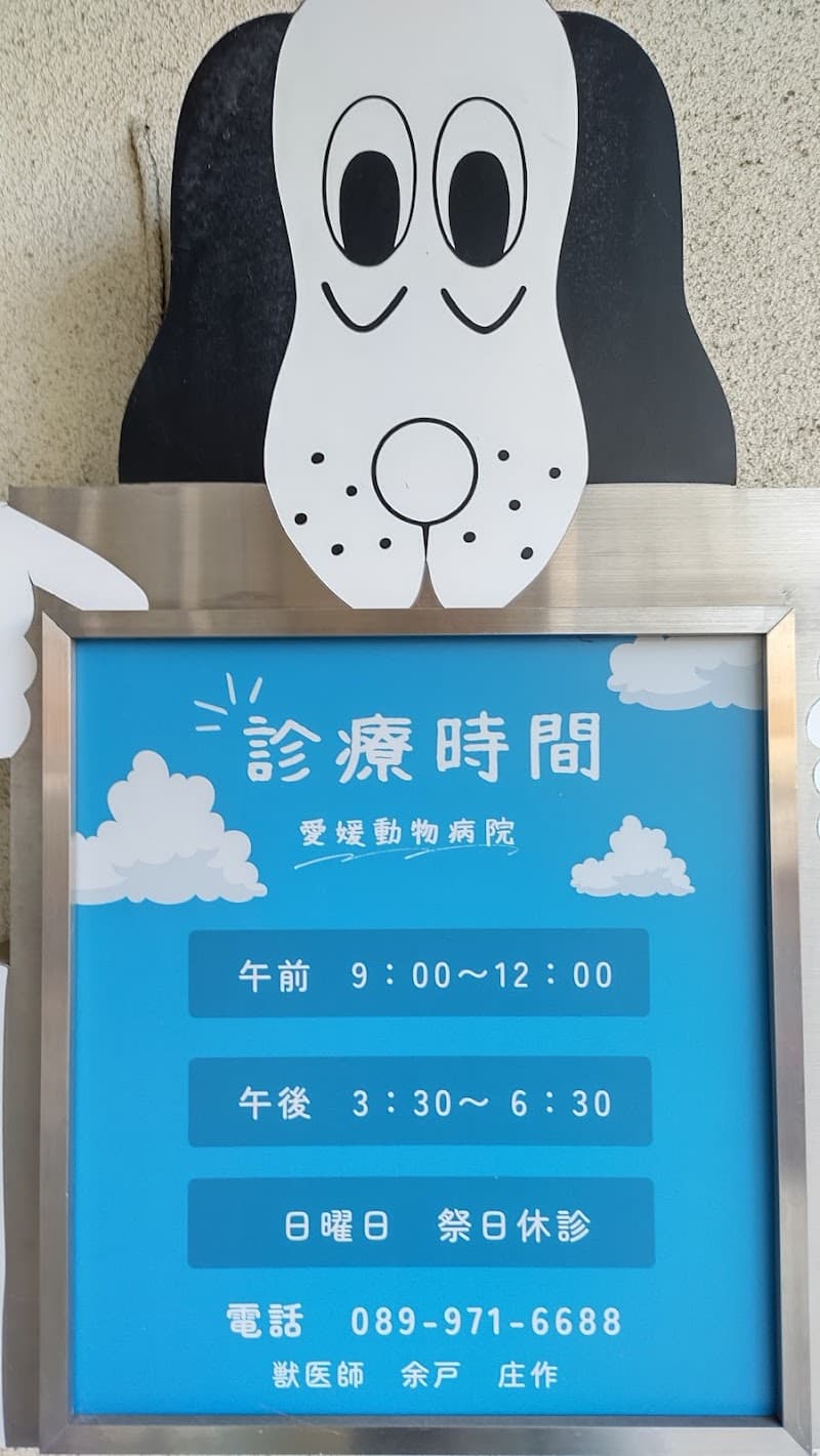 フェアリー動物病院