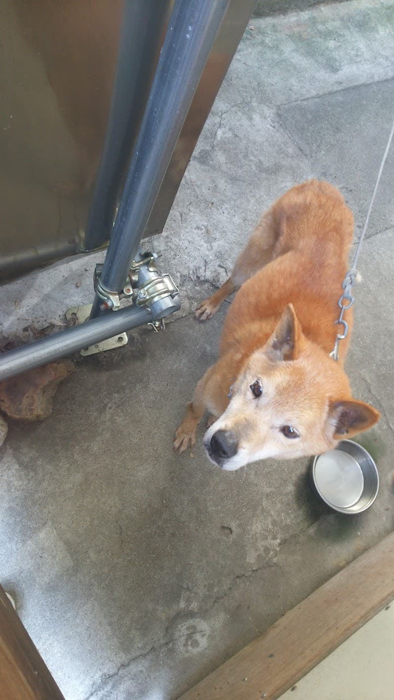 おくじま動物病院