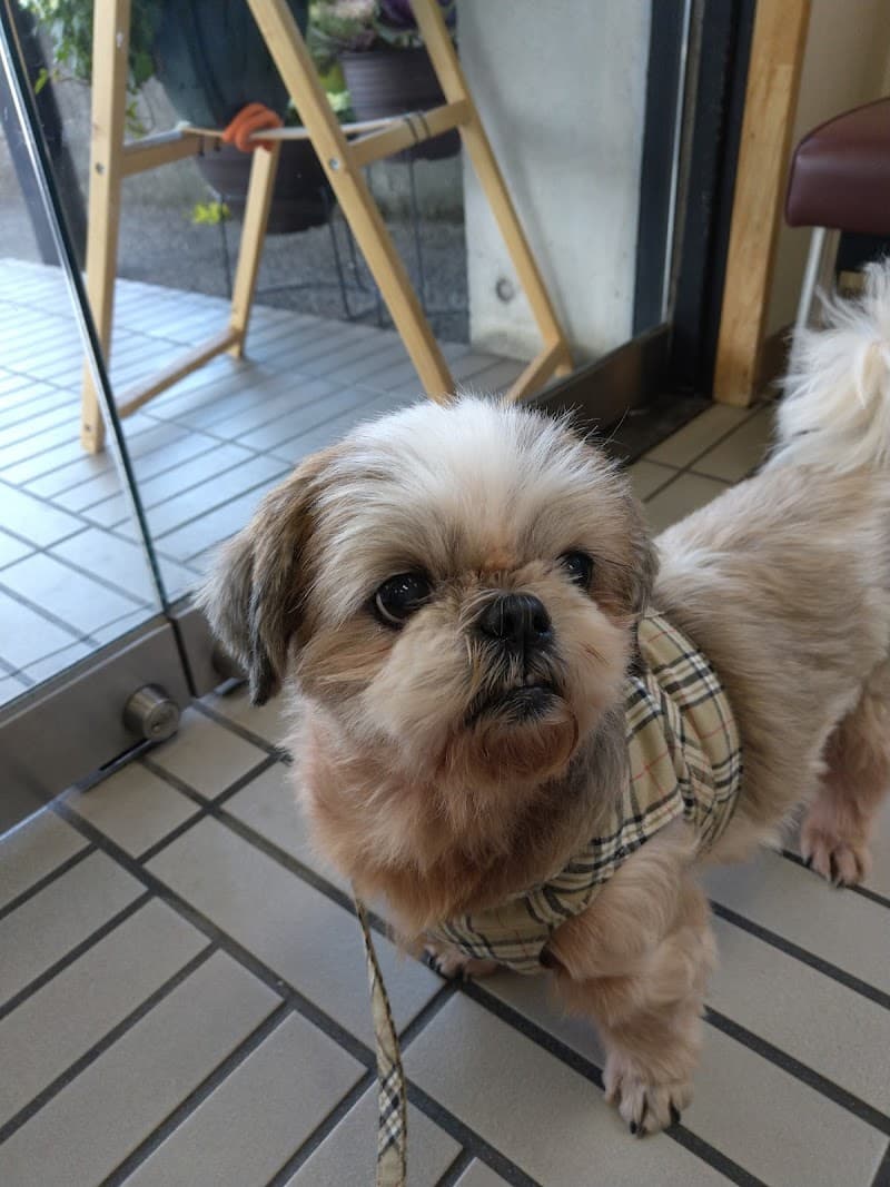 南動物病院