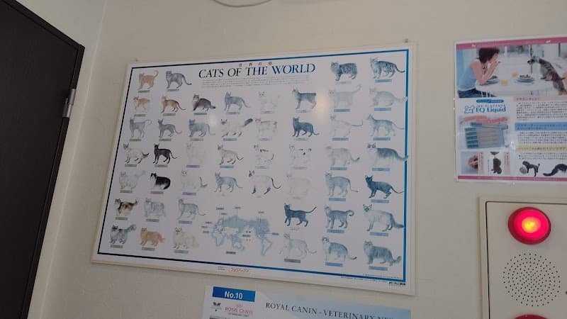 姪浜どうぶつ病院