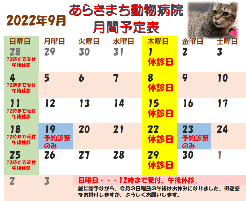 あらきまち動物病院