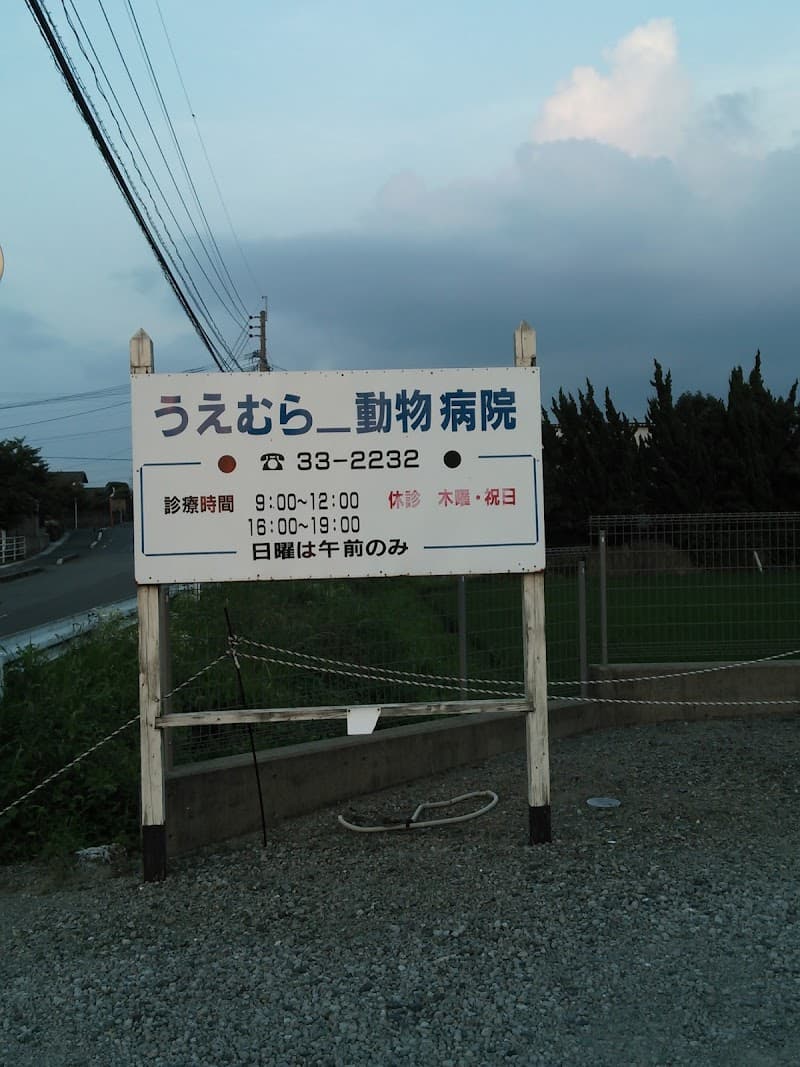 うえむら動物病院