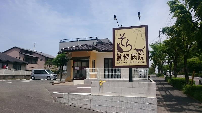 そら動物病院