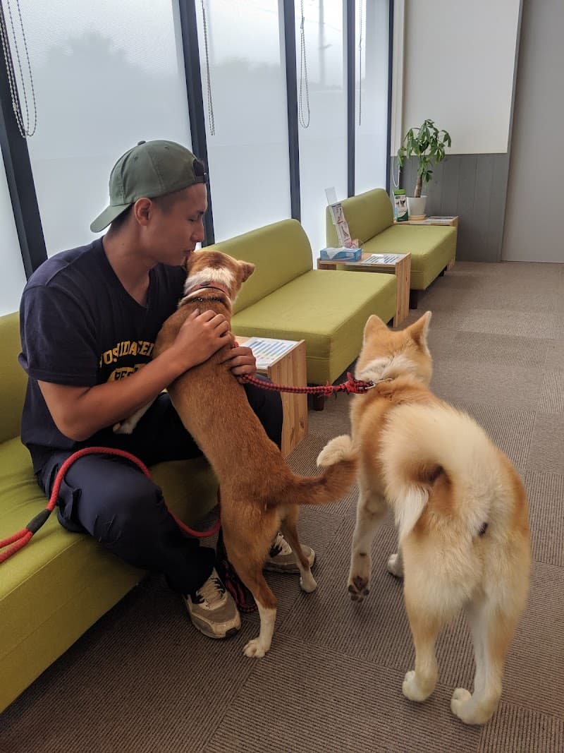 ひまきの犬猫病院