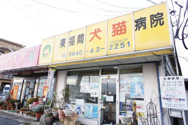 東福間犬猫病院